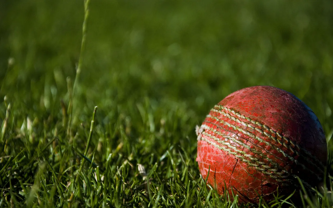 Red leather cricket ball resting on green grass